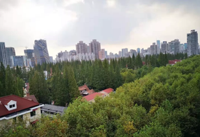 上海新華路花園洋房出租，246㎡獨(dú)棟