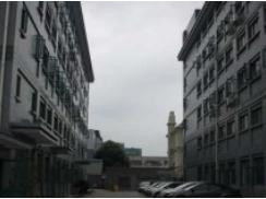 上海梅隴科技信息園助力企業(yè)跨越發(fā)展，筑夢(mèng)科技未來