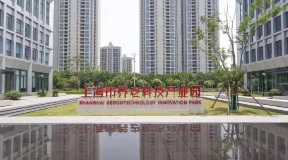 上海市人民政府辦公廳關(guān)于印發(fā)《上海市推進(jìn)養(yǎng)老科技創(chuàng)新發(fā)展行動(dòng)方案（2024—2027年）》的通知