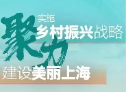 上海市人民政府辦公廳印發(fā)《關(guān)于進(jìn)一步促進(jìn)新型農(nóng)村集體經(jīng)濟(jì)高質(zhì)量發(fā)展的若干措施》的通知