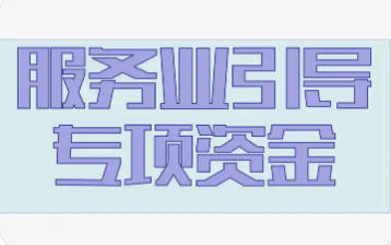 上海市市場監(jiān)管局等關(guān)于印發(fā)《上海市服務(wù)業(yè)發(fā)展引導(dǎo)資金支持廣告方向?qū)嵤┘殑t》的通知